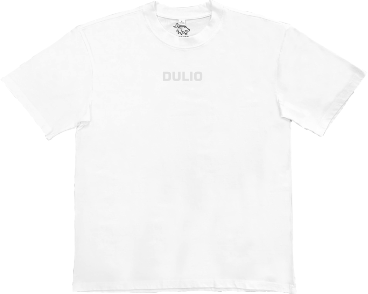 GREY DULIO TEE | DULIO