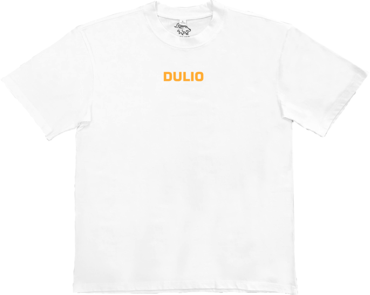 ORANGE DULIO TEE | DULIO